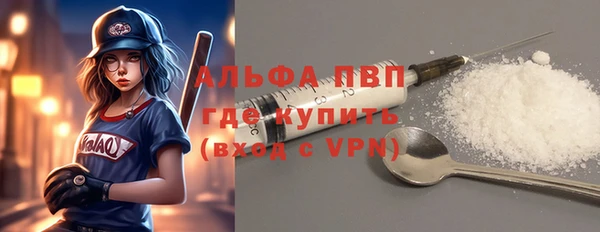 2c-b Ельня
