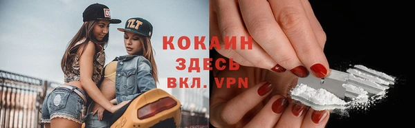 2c-b Ельня