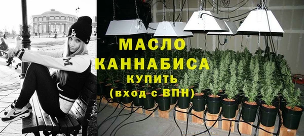 2c-b Ельня