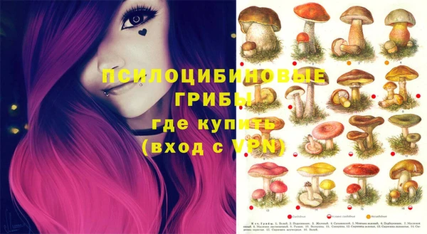 ECSTASY Заводоуковск