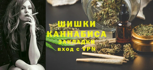 2c-b Ельня