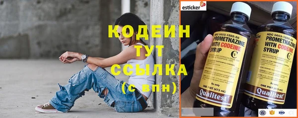 эйфоретик Елизово