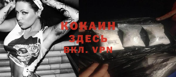 2c-b Ельня