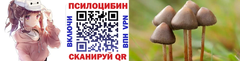Купить закладки  Тырныауз  Галлюциногенные грибы MAGIC MUSHROOMS 